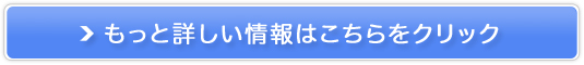 yT_Chzwǔ̔TCg